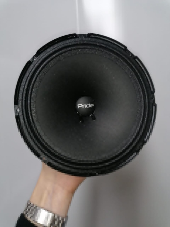 Динамики мидрейндж Pride Solo 100 OVERMODULAR