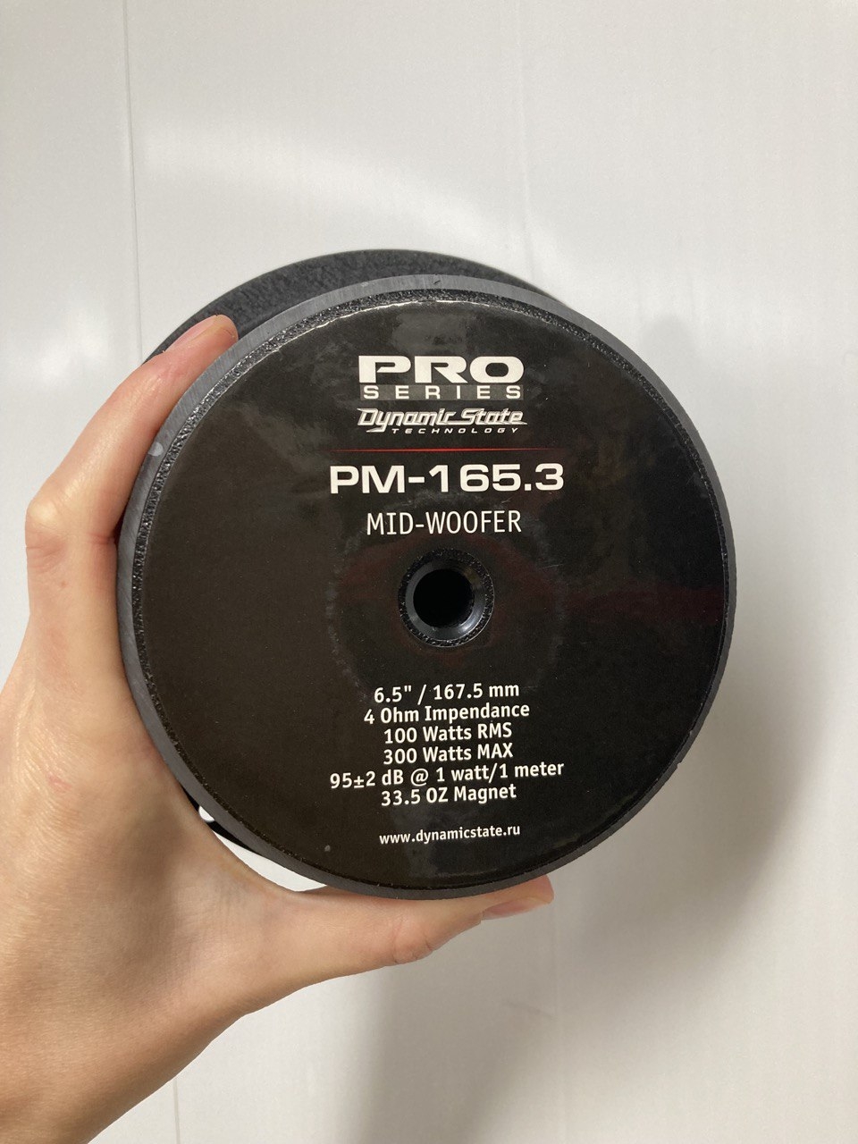 Динамики мидрейндж Dynamic State PM-165.3 PRO Series