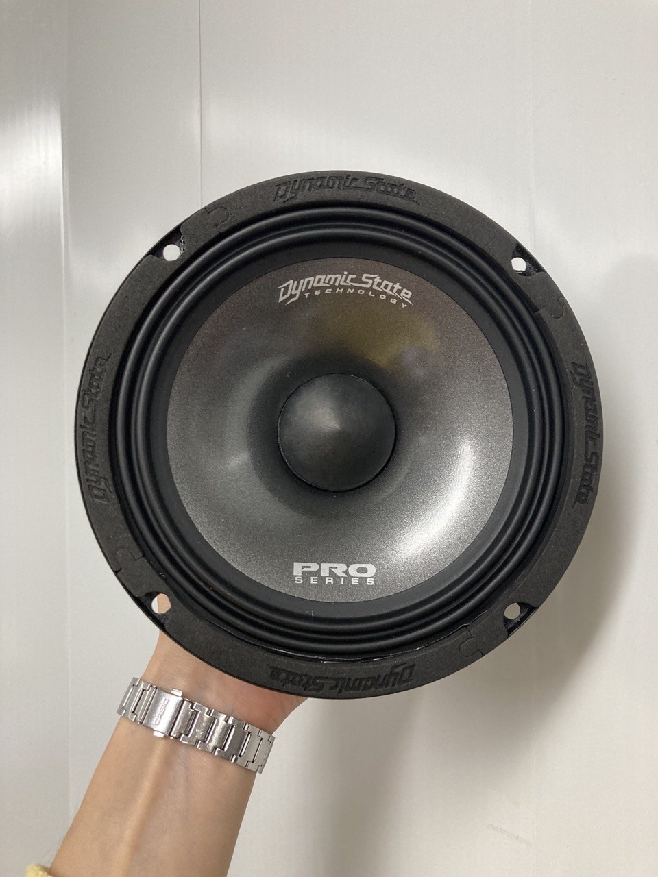 Динамики мидрейндж Dynamic State PM-165.3 PRO Series